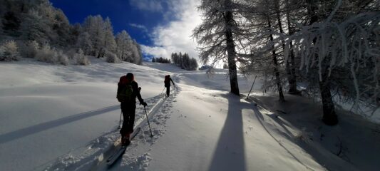 Qualche bella schiarita