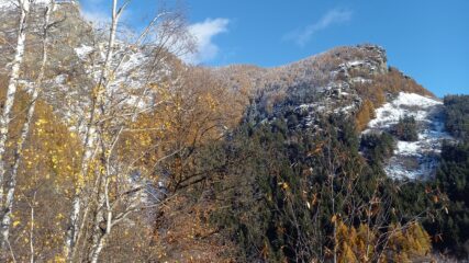 Castellus al mattino con bosco imbiancato