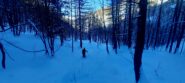 Neve bella in basso