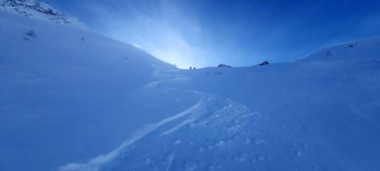 Prime splendide curve