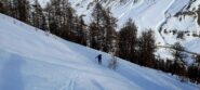 In salita nel rado lariceto