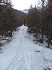 Percorso di salita_1