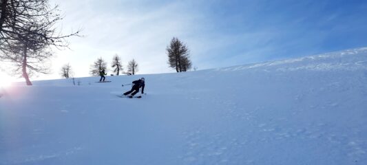 Si ripassa per il lariceto, neve mai brutta