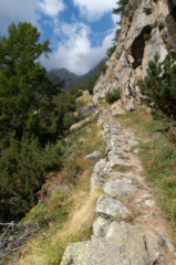 Percorso a mezza costa, nella parte sopra il bosco