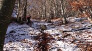 Nel bosco a riprendere il sentiero 4C