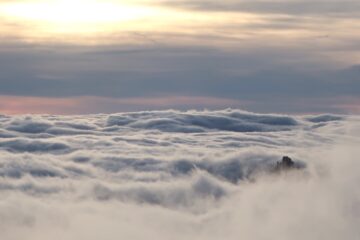 San Michele’s swimming