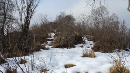 Tratto finale innavto