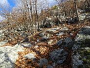 roccette finali