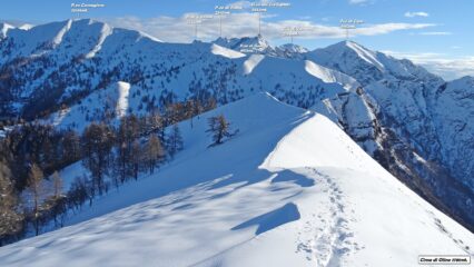 Da Cima di Olino tocca a noi batter traccia.