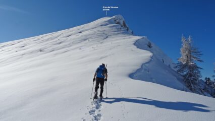 Affrontiamo il ripido tratto che dalla sella conduce in vetta.