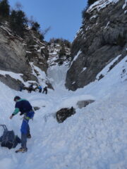 1° salto (in comune con Pachidermi(