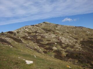 Quasi in cima 