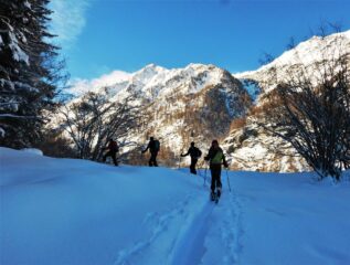 Nel bosco sulla sx. orografica sopra Giordano.