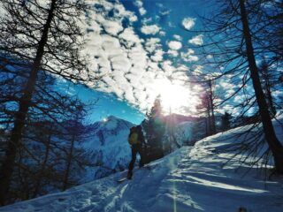 Ultimo tratto in alto nel lariceto.
