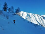 Rientro nel bosco a nord.