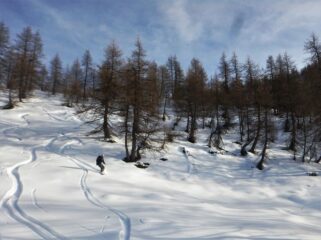Sole pomeridiano ad ovest