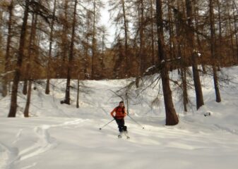 Dopo la neve pesante, farina migliore in basso