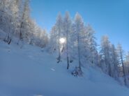 Norway Style :-)