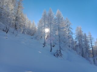 Norway Style :-)
