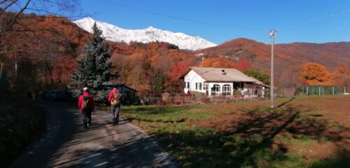Ancora colori autunnali