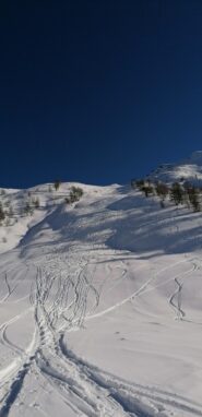 Prima parte di discesa sulla pista nera. Stando fuori ampi spazi intonsi
