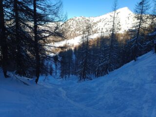 nel bosco prima del lago