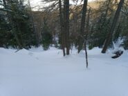 Non scendere di qua: tronchi, piccoli salti e rododendri nascosti...