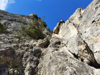 Per proseguire su L5, da qui piegare a sx sulle placche appoggiate fino alla base della parete successiva, a sx dell'albero 