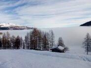 fuori dalla nebbia 