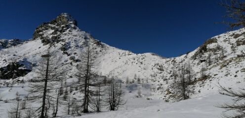 Torretta