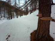 qua lascira la strada e scedere per attraversare il torrente e risalire dall'altro versante.