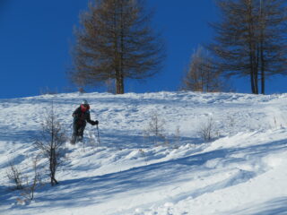 qualche bel tratto di neve polverosa leggera