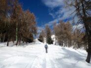 verso la pineta ,la cima si avvicina