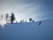 Neve trasformata all'ingresso del lariceto 