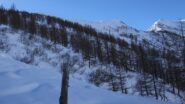Appare la dorsale