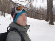 Nel bosco