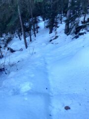 Tratto di sentiero immacolato tra La Naba e il ponte sul Lenteney