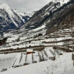 La vasta distesa di vigneti sotto il Monte Bianco convertita in preziose bottiglie di “Bianco di Morgex e La Salle”