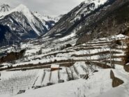 La vasta distesa di vigneti sotto il Monte Bianco convertita in preziose bottiglie di “Bianco di Morgex e La Salle”