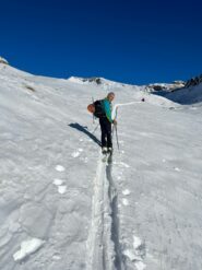 Fuori dal bosco con cima Valnera in vista