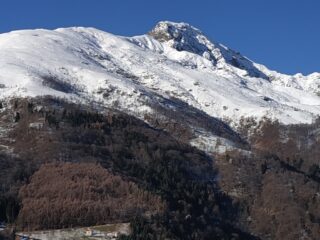 Mucrone.