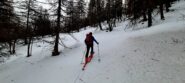 Salita nel lariceto