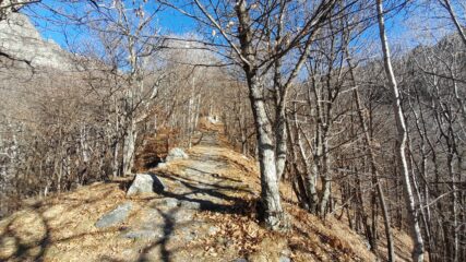 Bel tratto mulattiera Ru-Lities