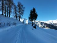 spostamento a W verso  Bardoney