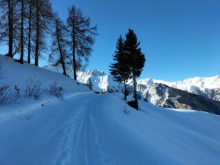 spostamento a W verso  Bardoney