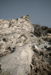 Attacco della via