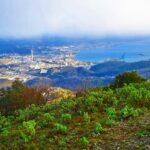 Vado e Savona dalla cima