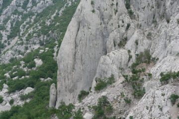 Domzalsky sul pilastro netto