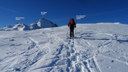 Sul cupolone del Piz Tamborello .