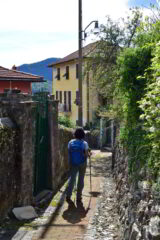 Scendendo verso San Cosimo di Struppa